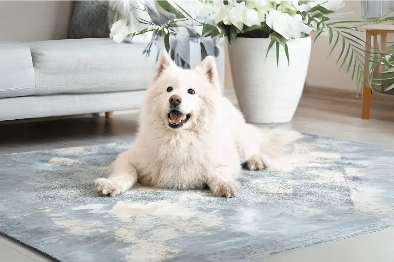 CUIDANDO TU ALFOMBRA TURCA EN PRESENCIA DE MASCOTAS - Kodaz Carpet Latam